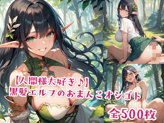 【人間様大好き♪】黒髪エルフのおまんこオシゴト