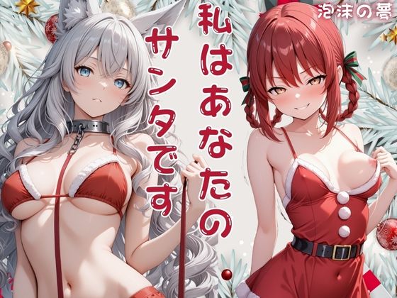 私はあなたのサンタです  リリス・寧々