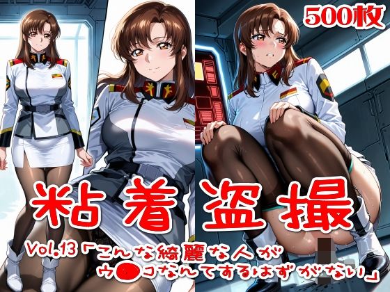 【500枚】粘着盗撮Vol.13「こんな綺麗な人がウ●コなんてするはずがない」